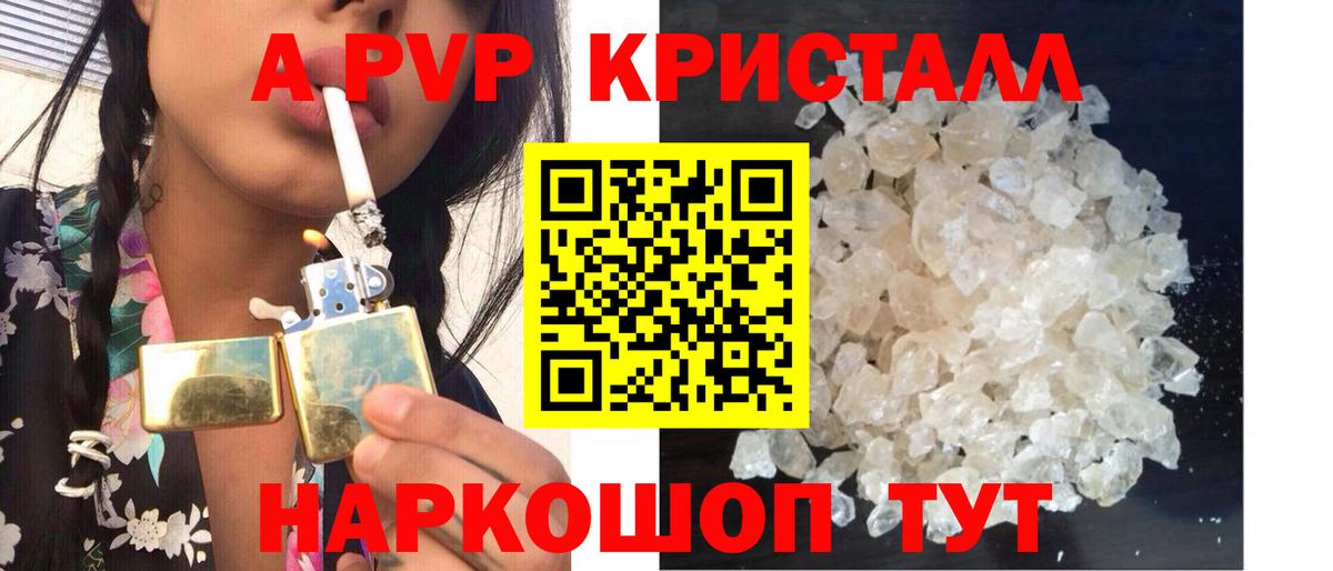 Альфа ПВП СК КРИС Новороссийск