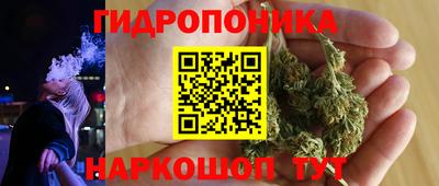 дживик Тверь